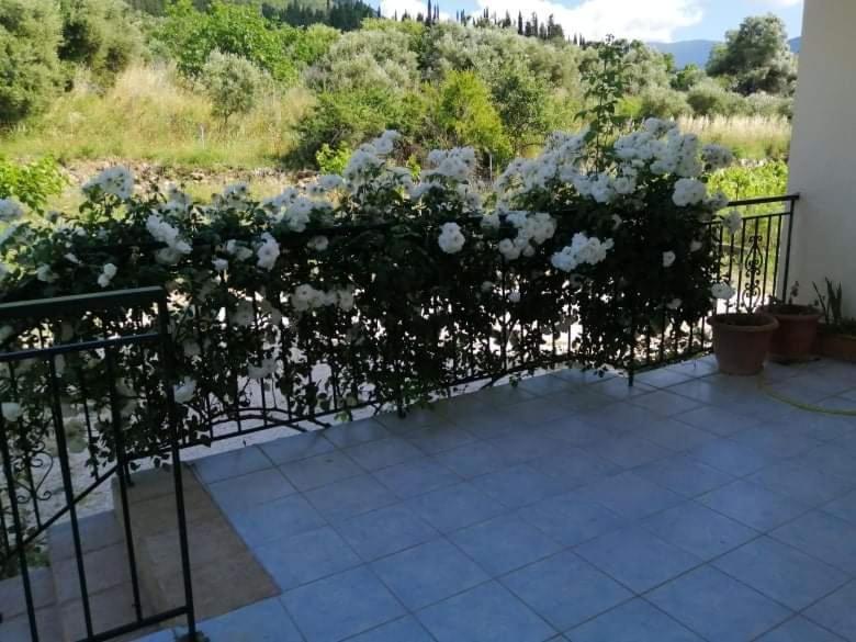 Rosegarden Villa Sami  Exterior photo